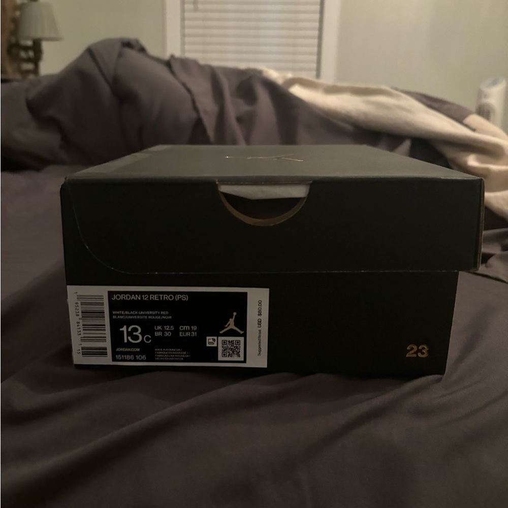 Jordan retro 12